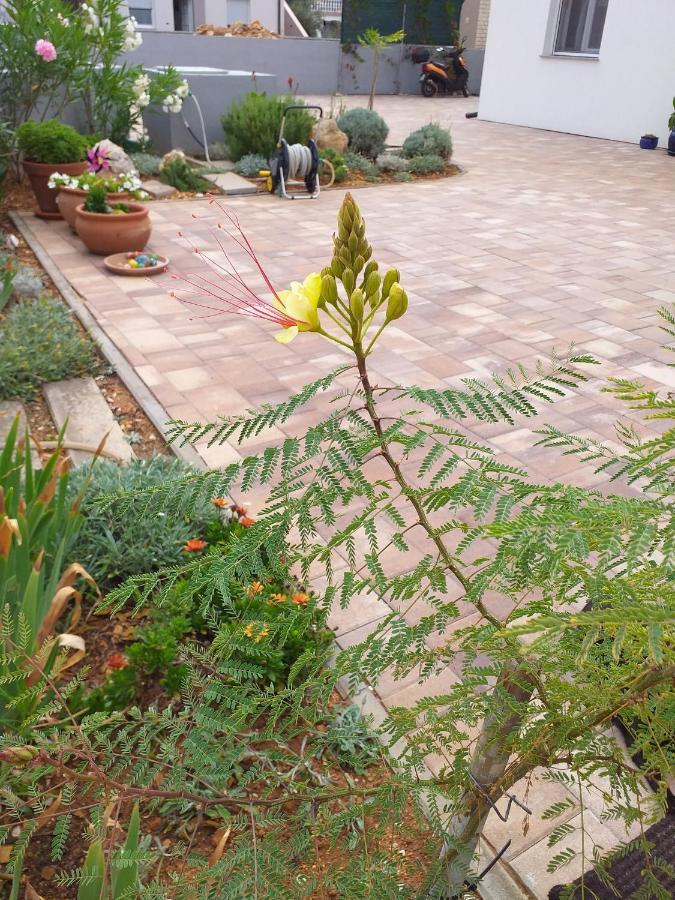 Apartment Dvorak Vir Dış mekan fotoğraf